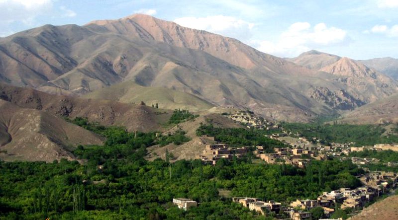 شهر خرو مرکز تولید آلو در ایران